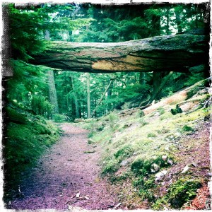 Top of the switchback hill on a nice hiking day.